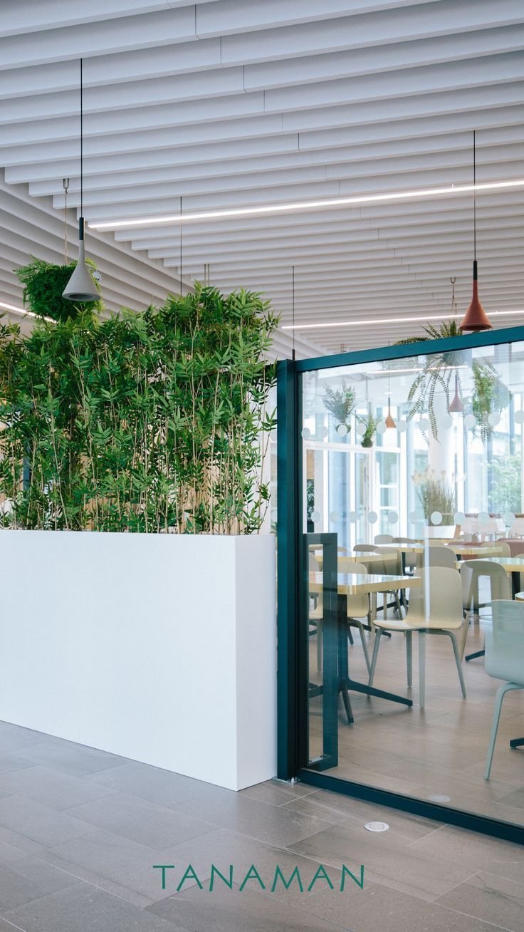 Decorer bureaux professionnels separer espace avec des plantes tanaman
