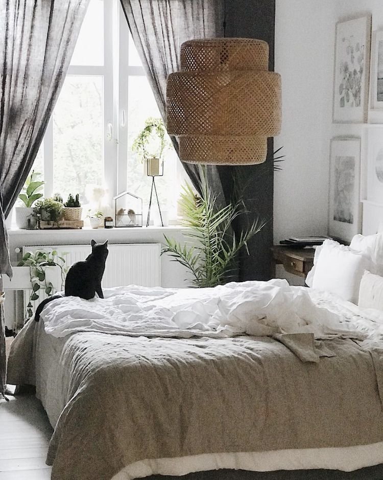Chambre taupe avec textures douces et plantes