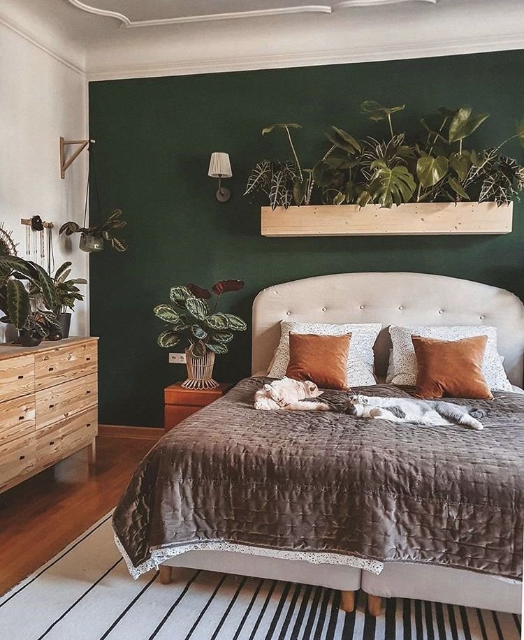 Chambre taupe et vert avec plantes ado