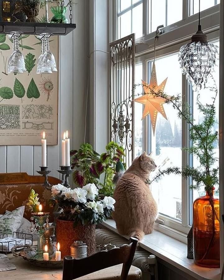Décoration fenêtre pour Noël avec branche dans vase plantes et chat