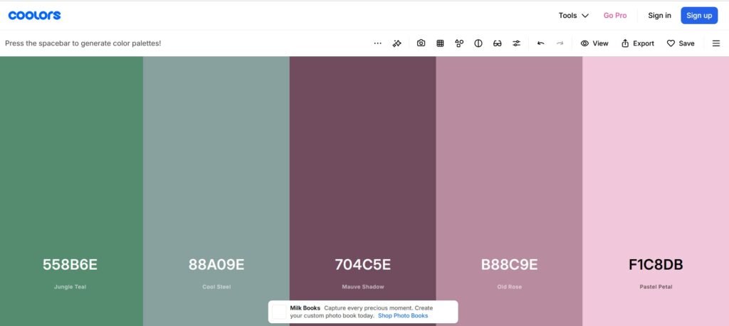 Coolors exemple de palette aleatoire regle des 3 couleurs deco